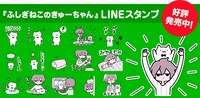 「ふしぎねこのきゅーちゃん」LINEスタンプの告知ビジュアル。