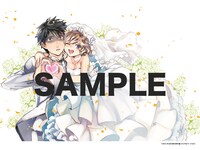 「虚構推理」8巻特装版に付属するミニカラー画集より。