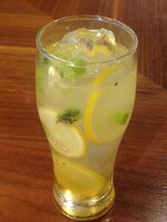 「レモンキウイスカッシュ」