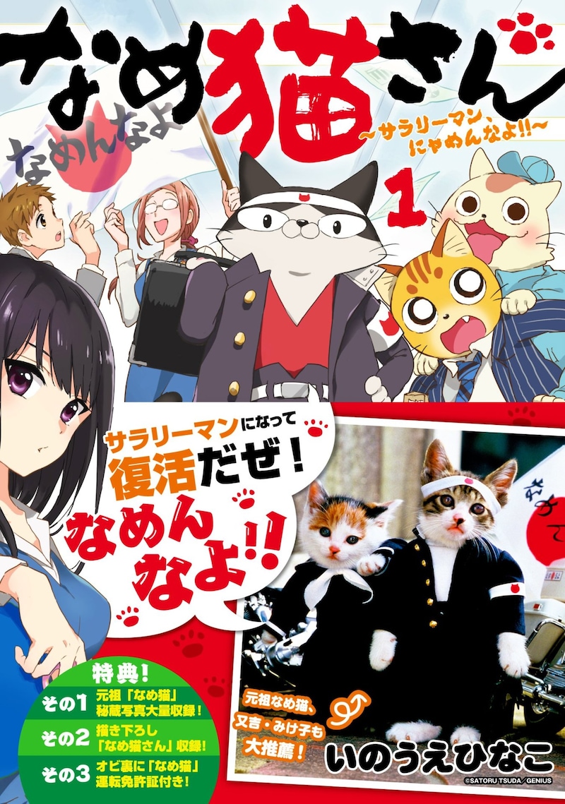 「なめ猫さん～サラリーマン、にゃめんなよ!!～」1巻（帯あり）