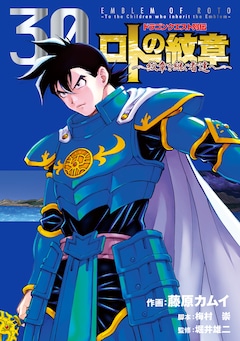 ロトの紋章 紋継ぐ 1 巻を期間限定で無料配信 30巻の発売記念し コミックナタリー