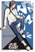 アニメイト特典のポストカード（ニーナ）。