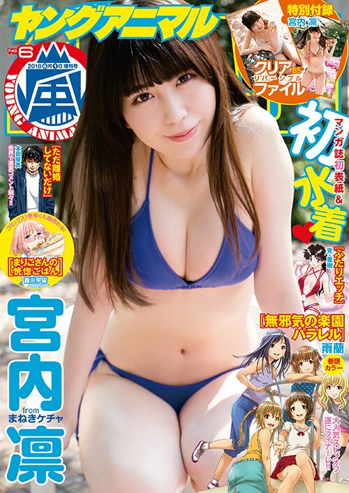 ヤングアニマル嵐6号