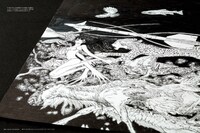 月刊MdN6月号より。