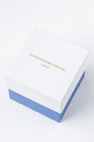 太鼓鐘貞宗モデルのケース。