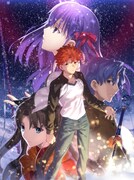 劇場版「Fate/stay night [Heaven's Feel] 』I.presage flower」ビジュアル