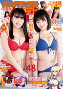 ヤングアニマル10号