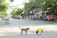 西島大介、かくたみほのコラボフォト。