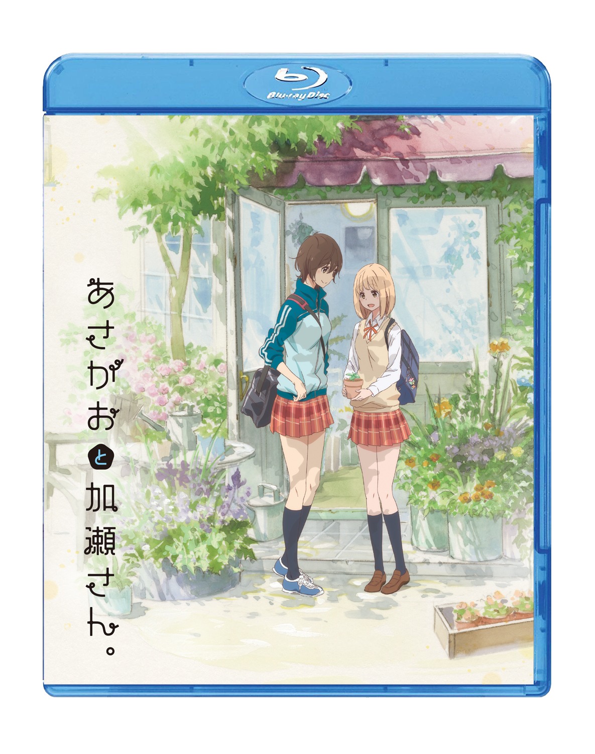 OVA「あさがおと加瀬さん。」劇場限定Blu-ray