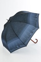 エレンモデルの傘。