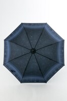 エレンモデルの傘。