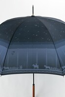 エレンモデルの傘。