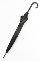 リヴァイモデルの傘。