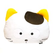 B賞：もっちもちクッション