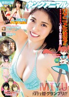 ヤングアニマル11号