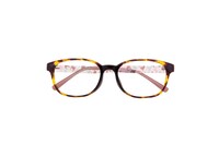 レギュラーサイズ「フェイシス（蘭）」