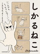 「しかるねこ」