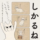 しっかりしなさーい!!Twitterで人気の白猫キャラ・しかるねこが単行本に