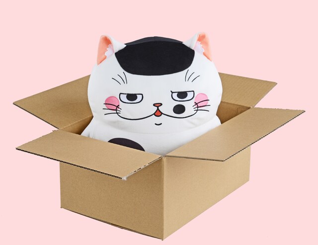 「もっちぃもっちぃ おじさまと猫 ふくまる ふくふくぬいぐるみ」使用例