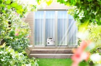 「もっちぃもっちぃ おじさまと猫 ふくまる ふくふくぬいぐるみ」使用例