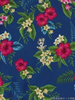 ワンピース、スカートのキャラクタープリント部分。