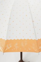 「夏目友人帳」コラボレーション傘。