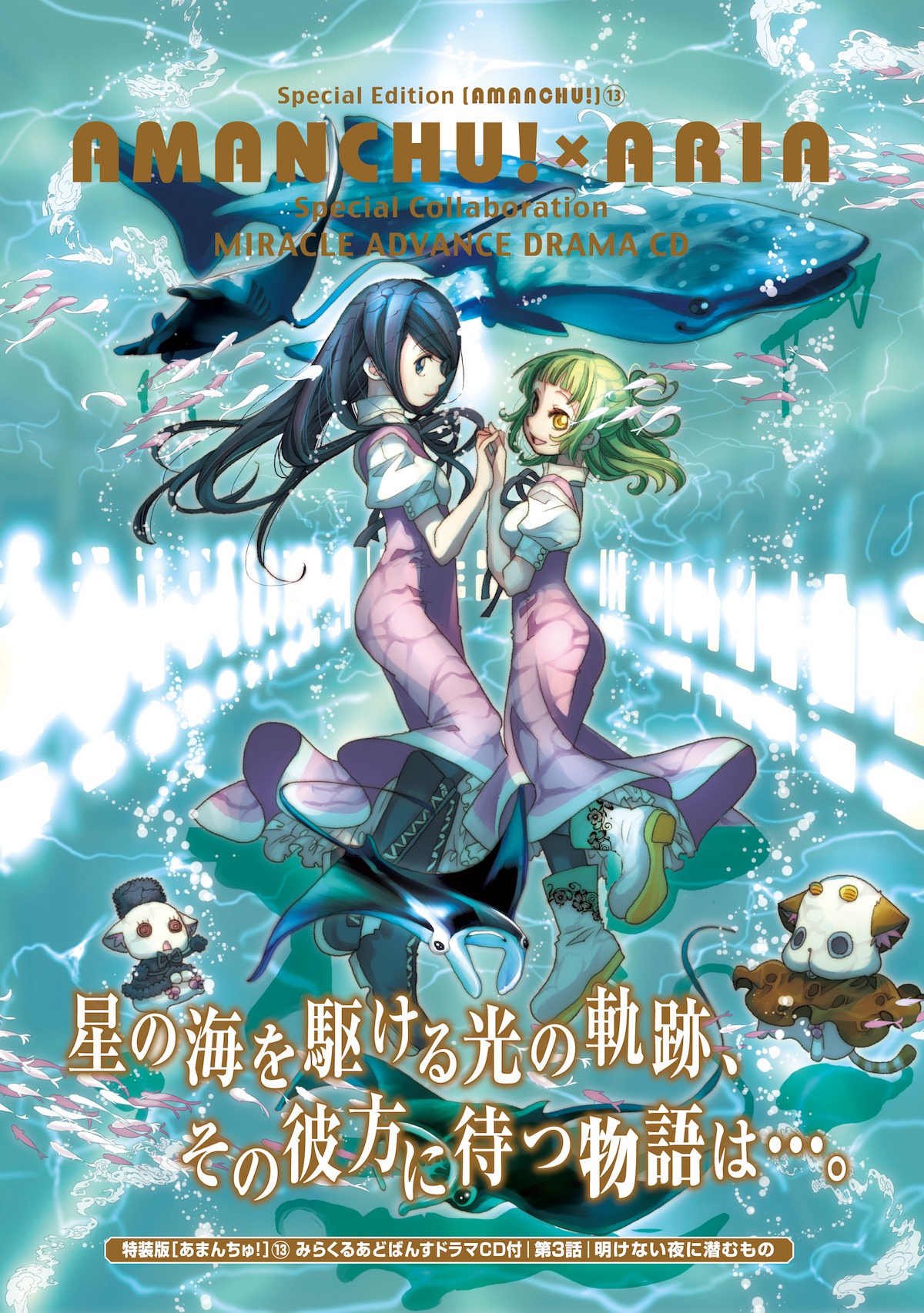 「あまんちゅ！」13巻の特装版。