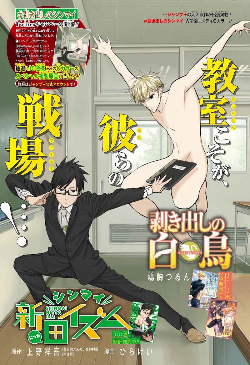 「シンマイ新田イズム」と「剥き出しの白鳥」のコラボによるセンターカラーページ。(c)上野祥吾・ひらけい/集英社 (c)鳩胸つるん/集英社