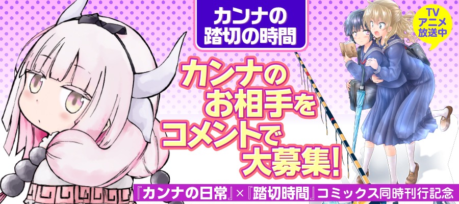 「カンナの踏切時間」