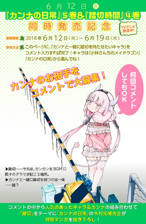 「カンナの踏切時間」詳細