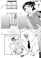 「ワンルームワンコ」より。