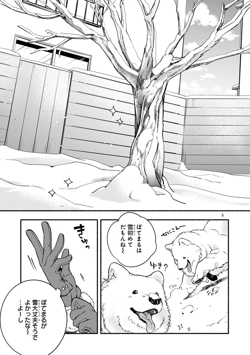 「ワンルームワンコ」より。