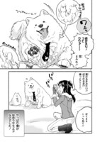 「ワンルームワンコ」より。