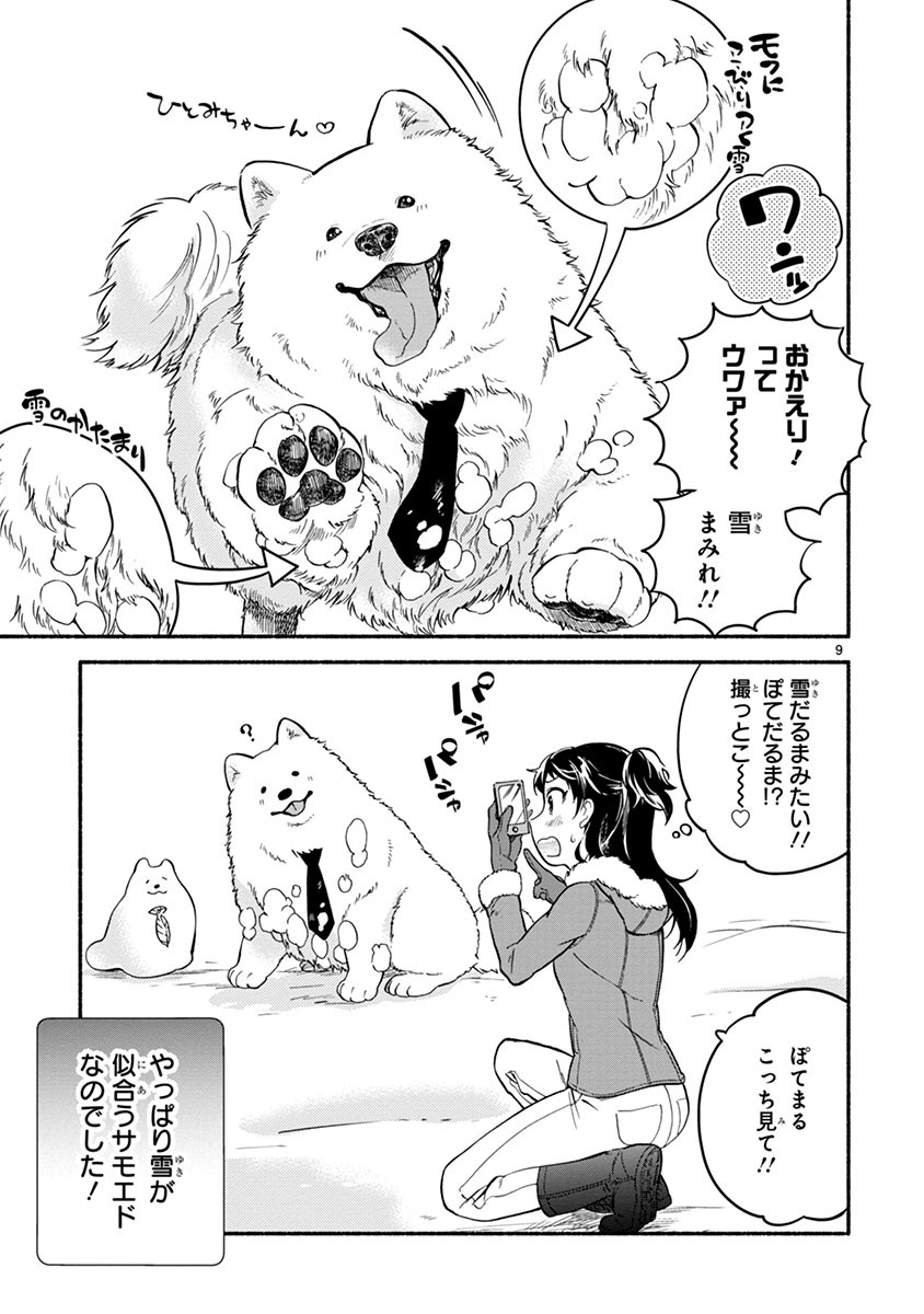 「ワンルームワンコ」より。