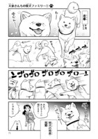 「ワンルームワンコ」より。