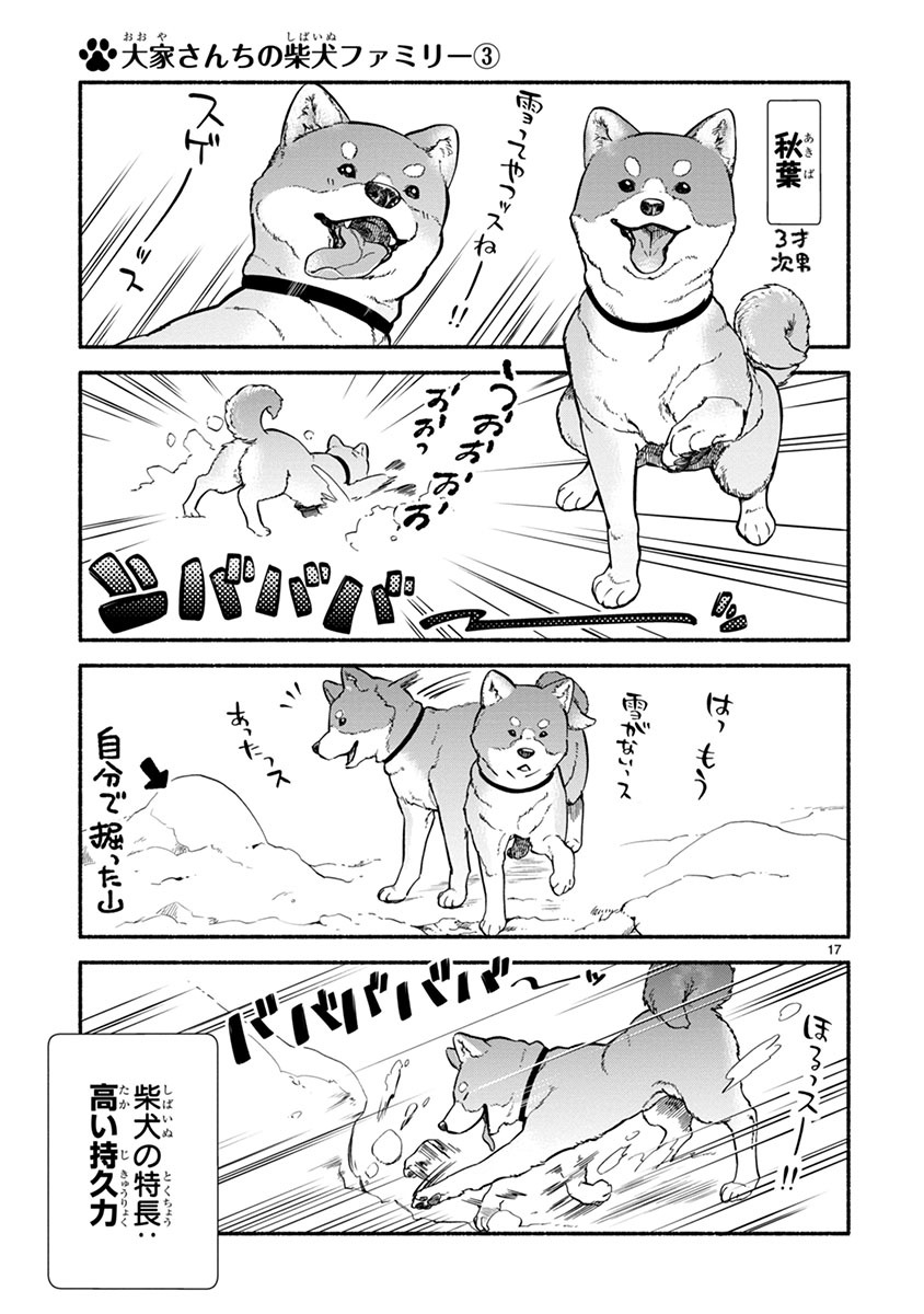 「ワンルームワンコ」より。