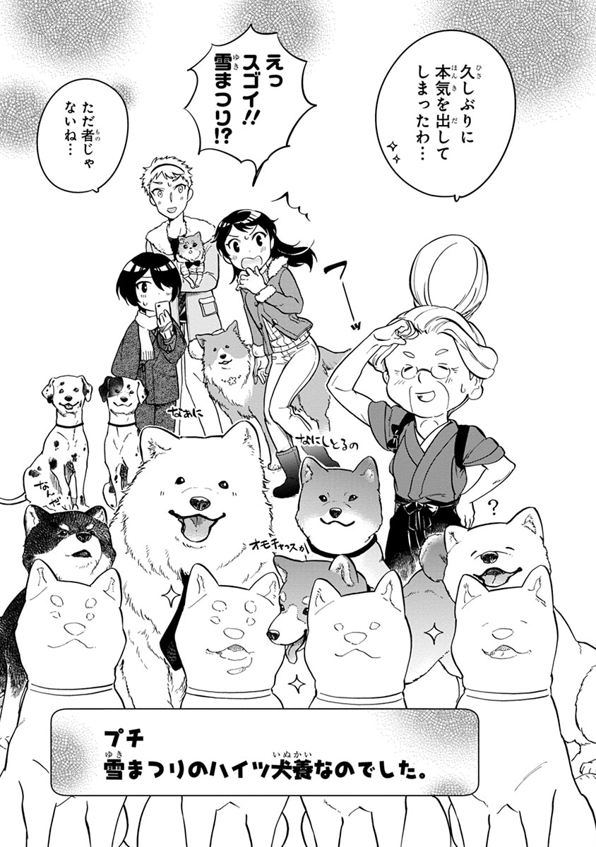 「ワンルームワンコ」より。
