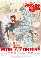 アニメ「はたらく細胞」の第2弾キービジュアルを用いた番宣ポスター。