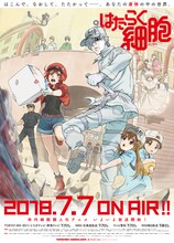 アニメ「はたらく細胞」の第2弾キービジュアルを用いた番宣ポスター。