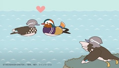 ざんねんないきもの事典 がアニメ化 紙兎ロペ のウチヤマユウジら参加 コミックナタリー ざんねんないきもの事典 がアニメ化 紙兎ロペ のウチヤマユウジら参加 コミックナタリー