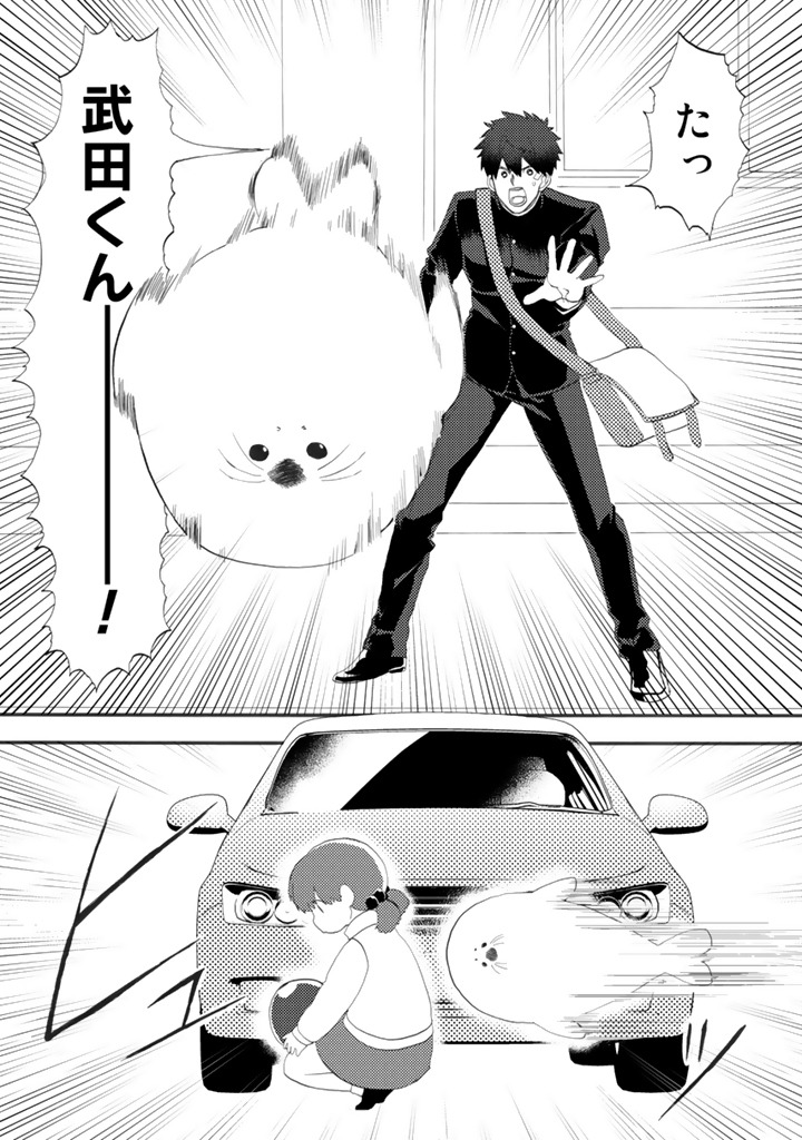 「アザラシの武田くん」より。