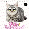 28歳会社員 今日子と喋る猫のフリーダムな日常 大川ぶくぶ 今宵もねこちゃん コミックナタリー