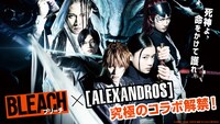 映画「BLEACH」のビジュアル。