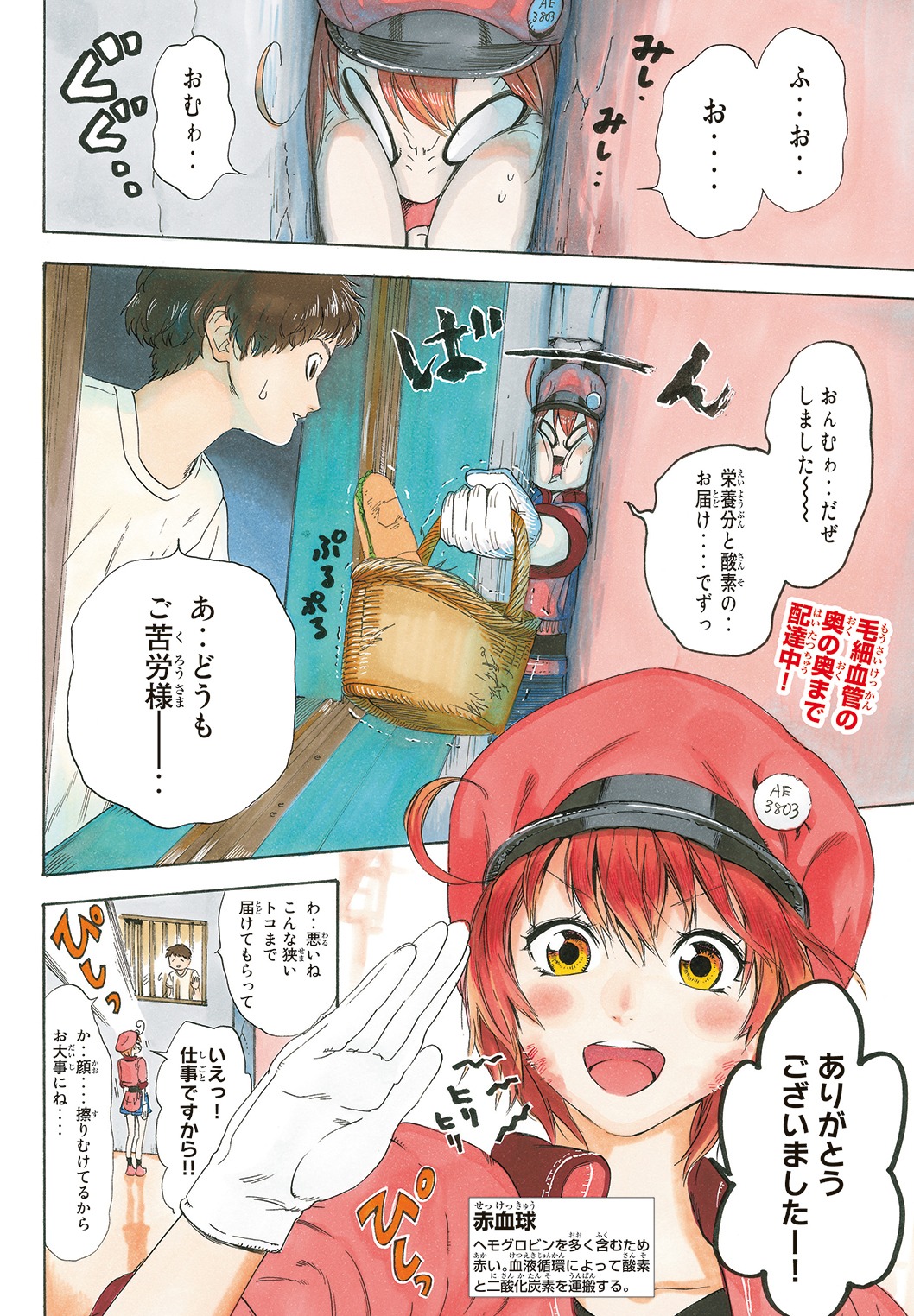 「はたらく細胞」より。