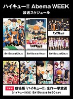 「8月19日はハイキュー!!の日 『ハイキュー!!』× Abema WEEK」の放送スケジュール。(c)古舘春一/集英社・「ハイキュー!!」製作委員会・MBS (c)古舘春一/集英社・「ハイキュー!! セカンドシーズン」製作委員会・MBS (c)古舘春一/集英社・「ハイキュー!! 3rd」製作委員会・MBS