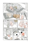 「犬を飼う そして…猫を飼う」より。