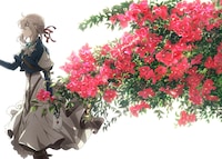 「ヴァイオレット・エヴァーガーデン」新規ビジュアル