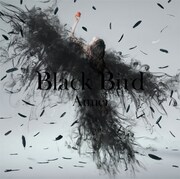 「Black Bird」通常版