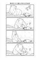 「クマとたぬき」より。