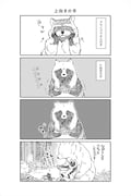 「クマとたぬき」より。